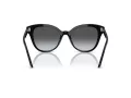Swarovski SK 6031 1001T3 53 Women sunglasses