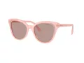 Swarovski SK 6031 10317N 53 Women sunglasses