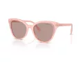 Swarovski SK 6031 10317N 53 Women sunglasses