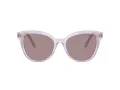 Swarovski SK 6031 1079LA 53 Women sunglasses