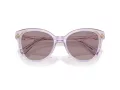 Swarovski SK 6031 1079LA 53 Women sunglasses