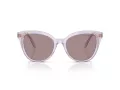 Swarovski SK 6031 1079LA 53 Women sunglasses