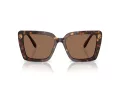 Swarovski SK 6032 100273 55 Women sunglasses