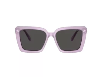 Swarovski SK 6032 107587 55 Women sunglasses