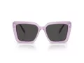 Swarovski SK 6032 107587 55 Women sunglasses