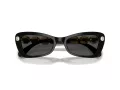 Swarovski SK 6033 100187 54 Women sunglasses