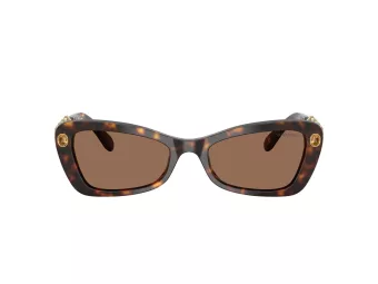 Swarovski SK 6033 100273 54 Women sunglasses