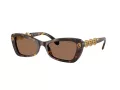 Swarovski SK 6033 100273 54 Women sunglasses