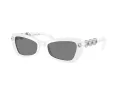 Swarovski SK 6033 105087 54 Women sunglasses