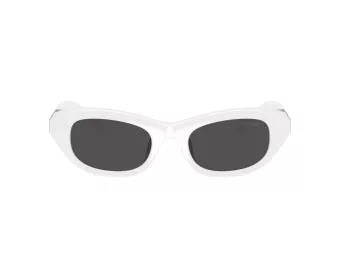 Swarovski SK 6036U 105087 50 Women sunglasses
