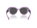 Swarovski SK 6037 107587 50 Women sunglasses