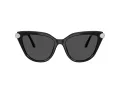 Swarovski SK 6039 100187 56 Women sunglasses