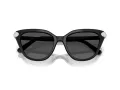 Swarovski SK 6039 100187 56 Women sunglasses