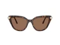 Swarovski SK 6039 100273 56 Women sunglasses