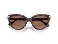 Swarovski SK 6039 100273 56 Women sunglasses