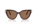 Swarovski SK 6039 100273 56 Women sunglasses