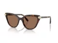 Swarovski SK 6039 100273 56 Women sunglasses