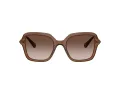 Swarovski SK 6040 106713 50 Women sunglasses