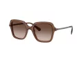 Swarovski SK 6040 106713 50 Women sunglasses