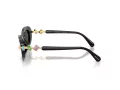 Swarovski SK 6042 100187 53 Women sunglasses