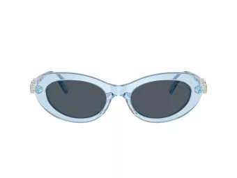 Swarovski SK 6042 107887 53 Women sunglasses
