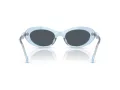 Swarovski SK 6042 107887 53 Women sunglasses