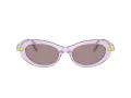Swarovski SK 6042 1079LA 53 Women sunglasses