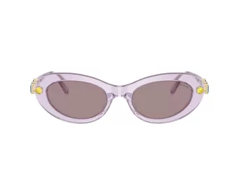 Swarovski SK 6042 1079LA 53 Women sunglasses
