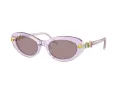 Swarovski SK 6042 1079LA 53 Women sunglasses