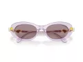Swarovski SK 6042 1079LA 53 Women sunglasses