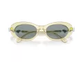 Swarovski SK 6042 1080/1 53 Women sunglasses