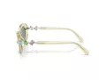 Swarovski SK 6042 1080/1 53 Women sunglasses