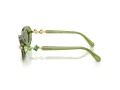 Swarovski SK 6042 3002/2 53 Women sunglasses