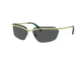 Swarovski SK 7001 400487 64 Women sunglasses