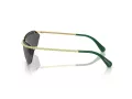 Swarovski SK 7001 400487 64 Women sunglasses