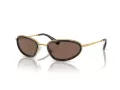 Swarovski SK 7004 400473 55 Women sunglasses