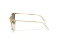 Swarovski SK 7006 4003U5 58 Women sunglasses