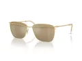 Swarovski SK 7006 4003U5 58 Women sunglasses
