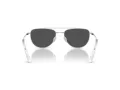 Swarovski SK 7007 400487 53 Women sunglasses