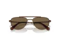 Swarovski SK 7007 401673 53 Women sunglasses