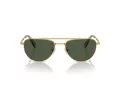 Swarovski SK 7007 401782 53 Women sunglasses
