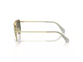 Swarovski SK 7007 401782 53 Women sunglasses