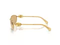 Swarovski SK 7010 4007D8 59 Women sunglasses