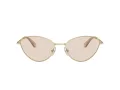 Swarovski SK 7014 4013M4 58 Women sunglasses