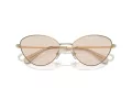 Swarovski SK 7014 4013M4 58 Women sunglasses