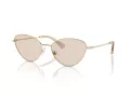 Swarovski SK 7014 4013M4 58 Women sunglasses