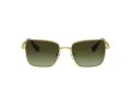Swarovski SK 7015 4004E8 56 Women sunglasses