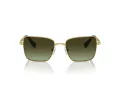 Swarovski SK 7015 4004E8 56 Women sunglasses