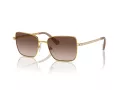 Swarovski SK 7015 400713 53 Women sunglasses