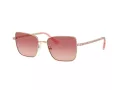 Swarovski SK 7015 4013A5 53 Women sunglasses
